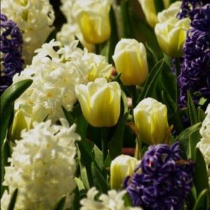 Meet your Posher, Maryam